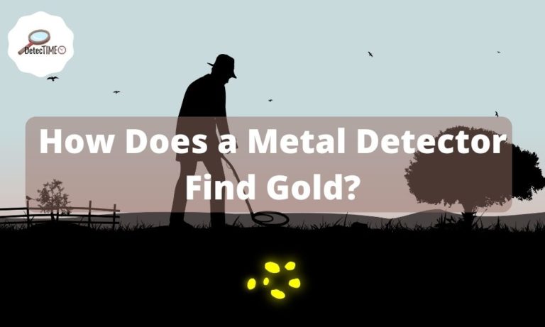 How Does a Metal Detector Find Gold?
