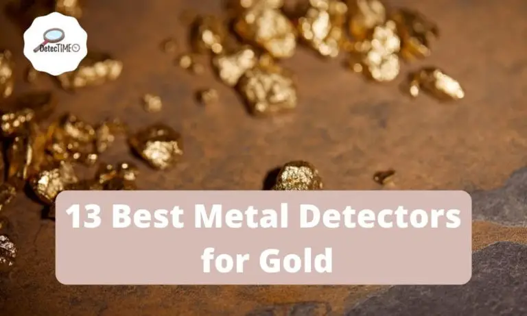 13 Best Metal Detectors for Gold