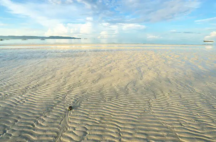 Low tide beach